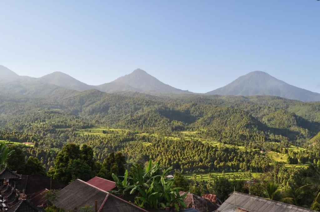 One Homestay And Warung Munduk Exteriér fotografie